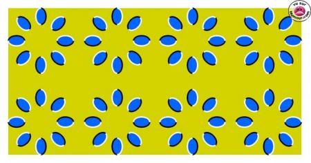 illusion